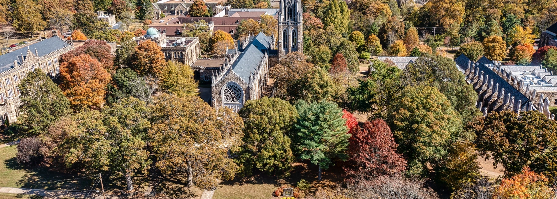 hidden gems in university offerings